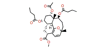 Methyl briareolate